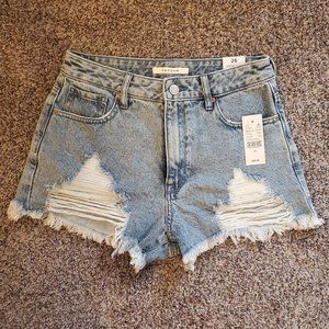 NWT PacSun High Rise Festival Shorts